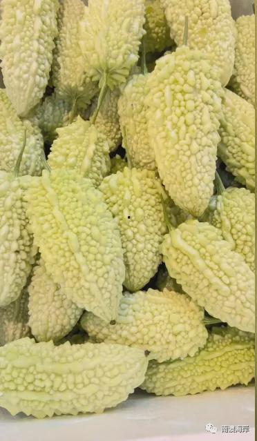 南澳珠瓜怎么吃,南澳珠瓜的多彩食法探索