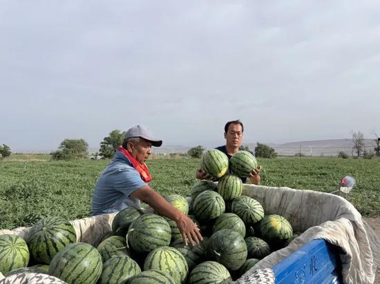 疫情过后天天吃瓜,天天吃瓜，乐享生活新篇章