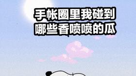 吃瓜手帐,记录生活点滴，品味人间烟火