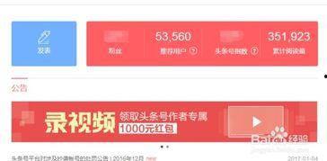 现在头条还适合新手吗,头条平台，你的内容创作新起点