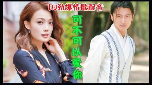 D丿网红歌曲,流行乐坛的新星闪耀