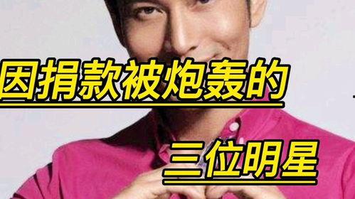 明星被炮轰,舆论风暴下的公众人物困境