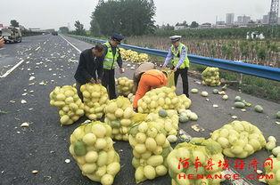 建湖吃瓜群众,揭秘当地生活百态