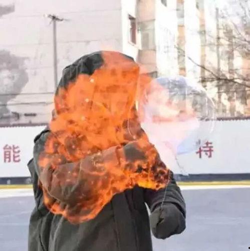 网红的爆炸,网络时代的璀璨明星与社交新势力