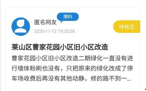 视频爆料平台有哪些,盘点各大平台特色与优势