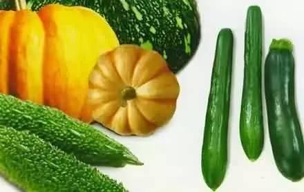 吃瓜短句有哪些,轻松幽默的日常趣谈