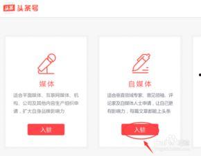 今日头条的媒体平台在哪,打造个性化内容生态圈