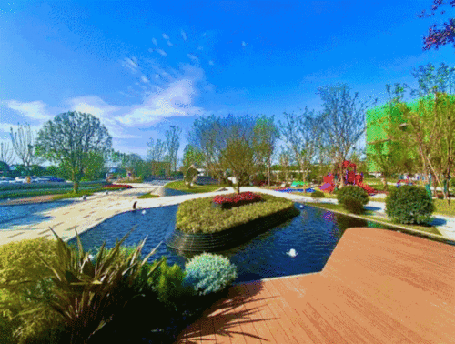 双凤桥新闻头条,揭秘双凤桥发展新篇章