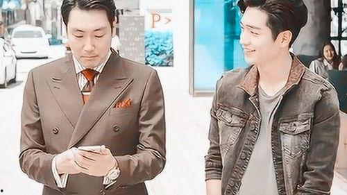 明星伙伴浩镇,明星伙伴的闪耀之路