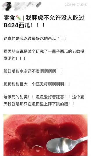 吃瓜群众6699答案,揭秘吃瓜群众6699的答案之谜