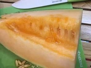 柳州wow吃瓜,揭秘网红美食背后的故事