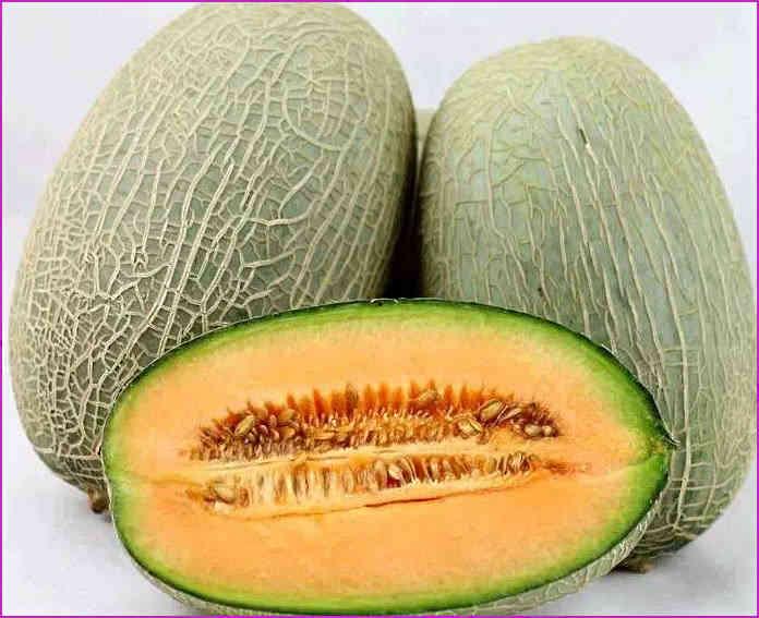 吃哈密瓜后可以喝麦片吗,完美搭配的饮食新主张