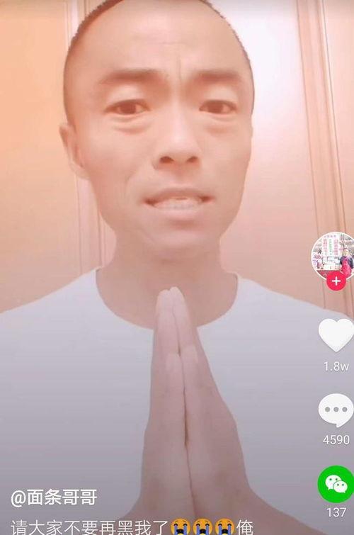 网红条哥,揭秘网络红人的崛起之路