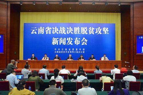 哈尔滨红河区新闻头条,聚焦区域发展新动态，共绘美好未来蓝图