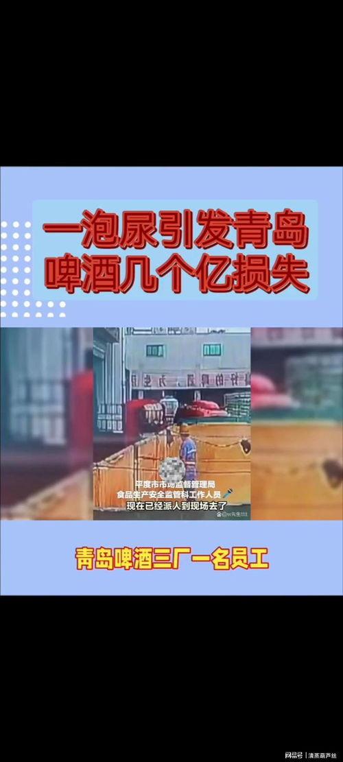 青岛啤酒视频爆料,探寻百年品牌的传承与创新