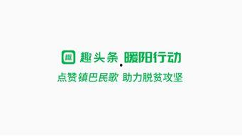 趣头条扶贫广告,科技助力，共筑乡村振兴梦