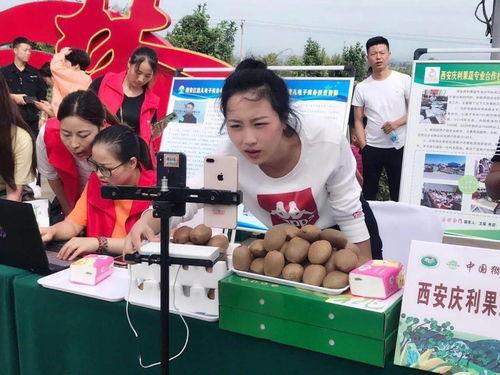 周至县楼观头条,探寻千年古观的文化传承与旅游新篇