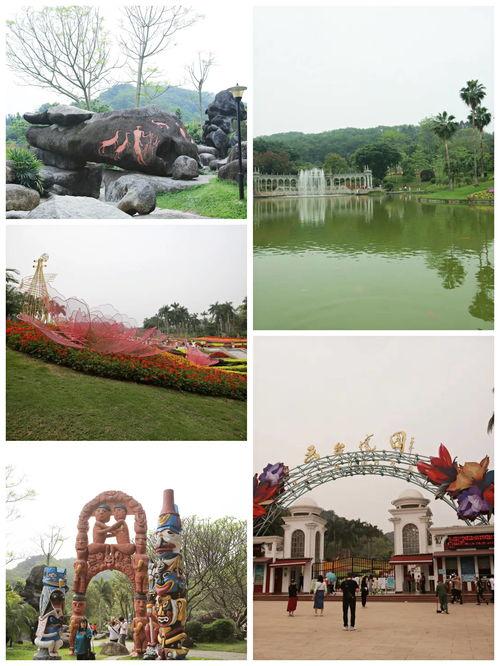 广州网红泳池拍照地点,光影交织的夏日风情